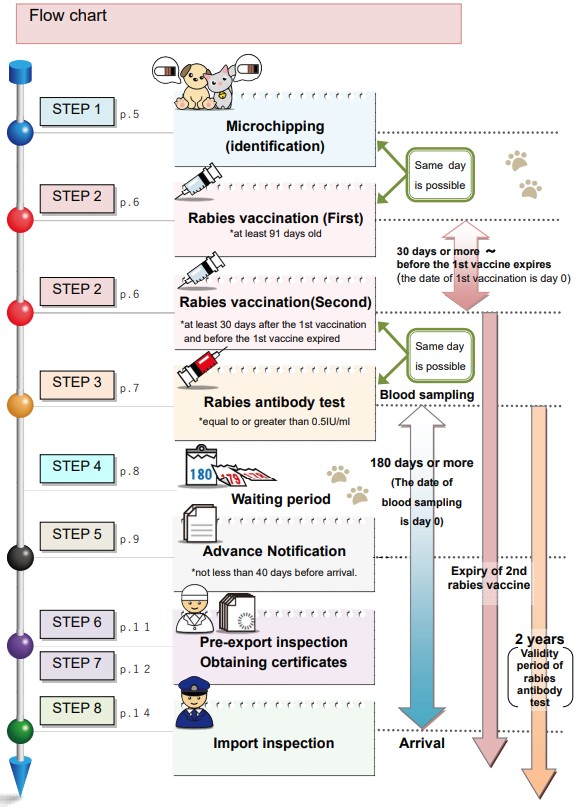 Flow Chart